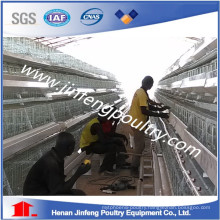 Layer Poultry Battery Cage Feeding Equipment for Chicken House